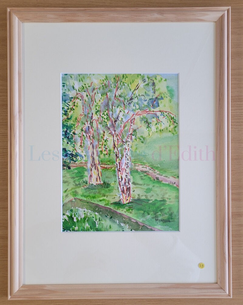 59 A l'orée de la forêt