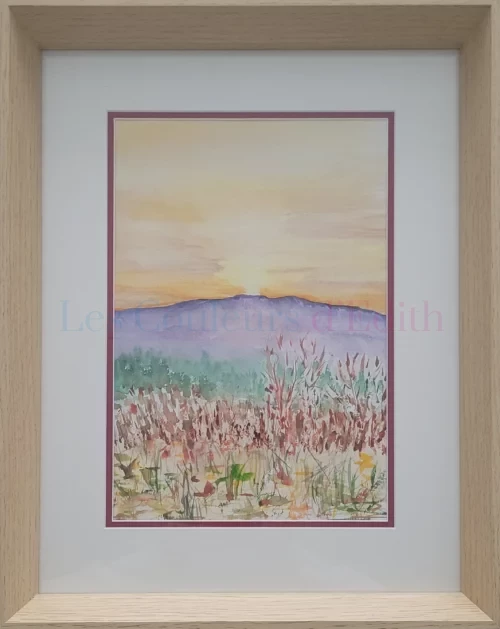 126 beauté sauvage proche du vignoble alsacien