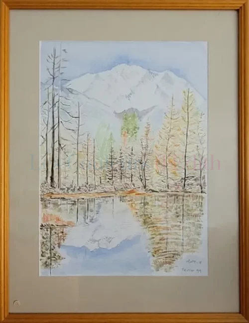 34 Mélèzes en haute Savoie